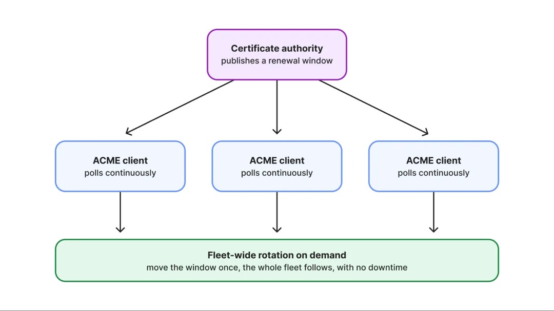 Cloudflare 计划成为面向公众的证书颁发机构,免费提供 ACME 自动化 TLS 证书